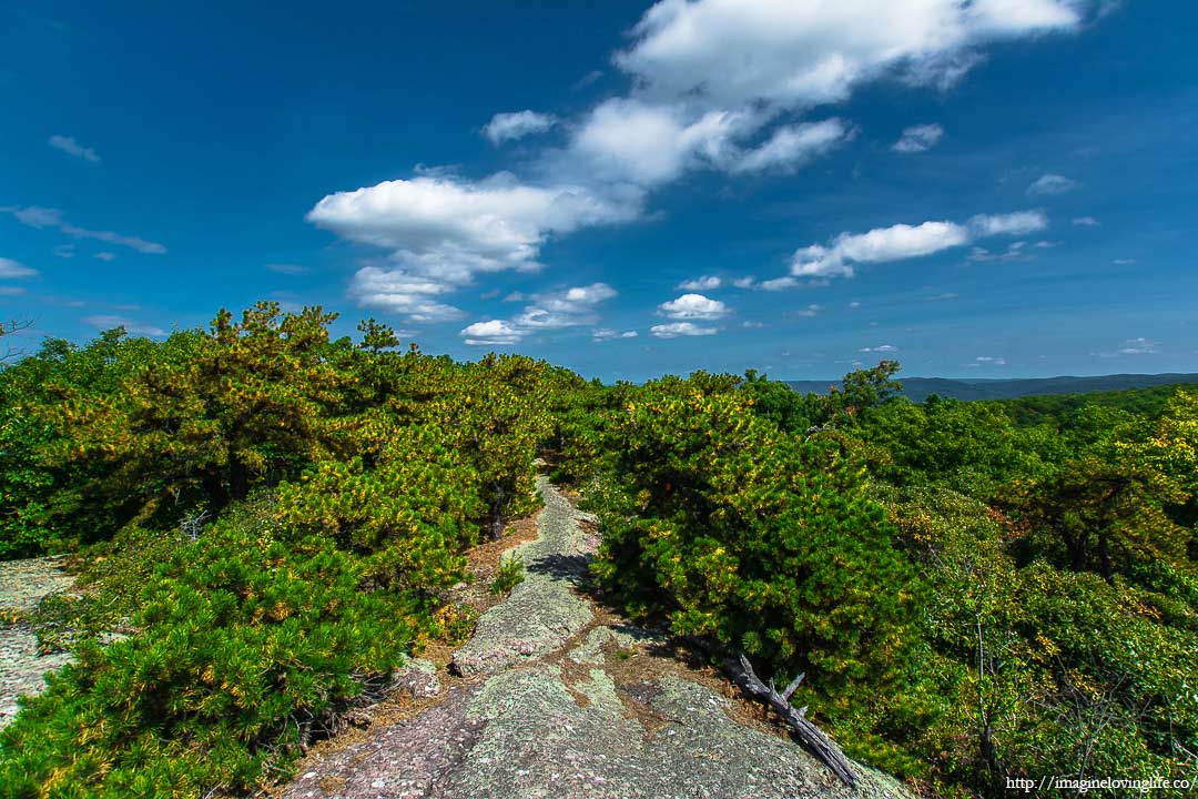 western ridge trail